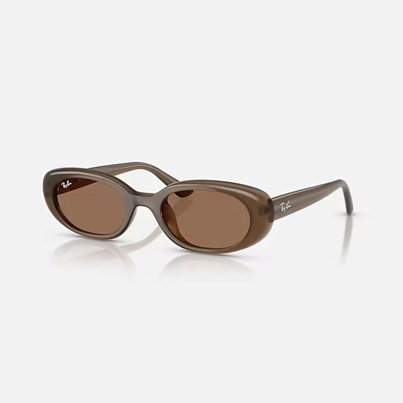 RAY-BAN RB4441D Sunglasses in Matte Brown/Dark Brown - Image 5